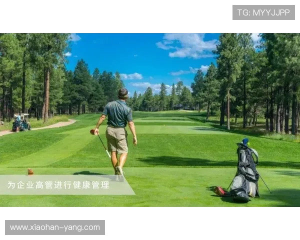 企业家健康管理全指南 提升身心活力与事业成功的双重秘籍